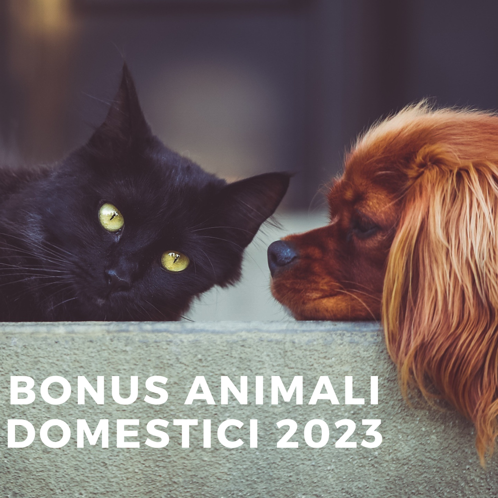 Bonus Animali Domestici 2023 Informazioni utili Amici e Natura iTALIA