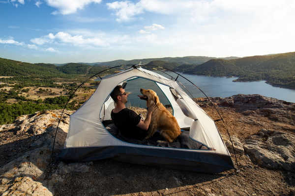 Escursioni a 4 Zampe: Guida Completa al Trekking con il Cane Amici e Natura iTALIA