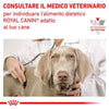 Royal Canin Cardiac 2kg - Crocchette per Cani Royal Canin Cardiac 2kg - Crocchette per Cani