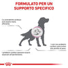 Royal Canin Cardiac 2kg - Crocchette per Cani Royal Canin Cardiac 2kg - Crocchette per Cani