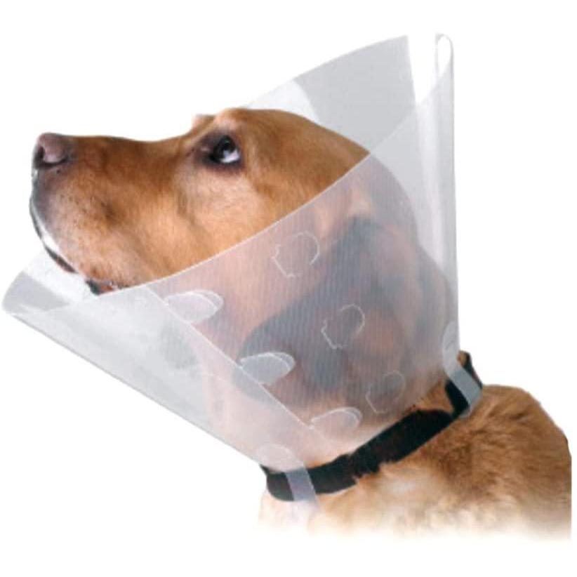 Kruuse - Collare Elisabettiano Clic 1 Collare 12,50 cm Kruuse - Collare Elisabettiano Clic 1 Collare 12,50 cm