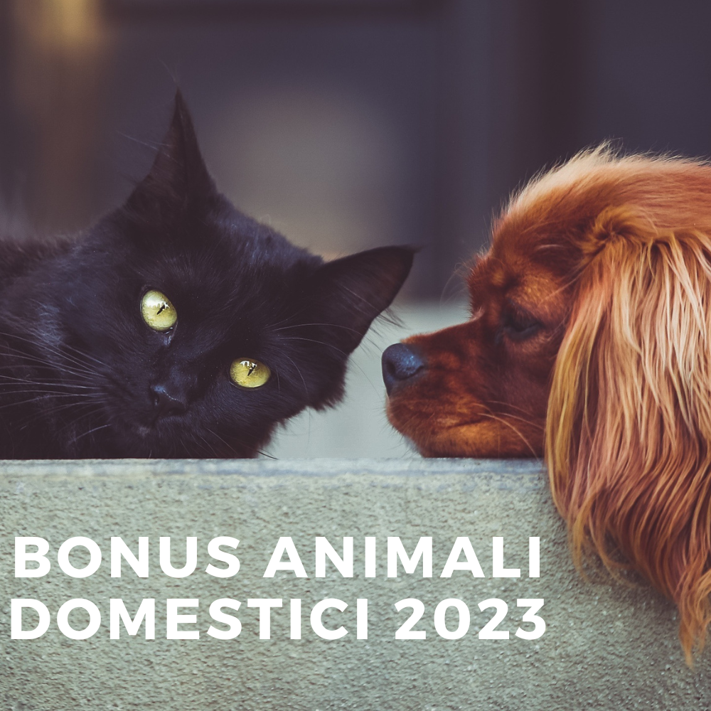 Bonus Animali Domestici 2023 - Informazioni utili Amici e Natura iTALIA