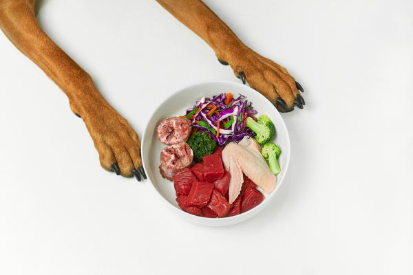 I Cani Possono Mangiare la Carne Cruda? Amici e Natura iTALIA