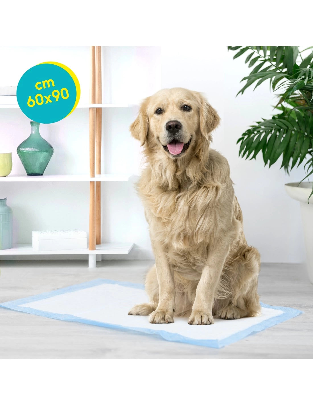 100 Tappetini Igienici per Cani - Record Tapiss 60X90cm
