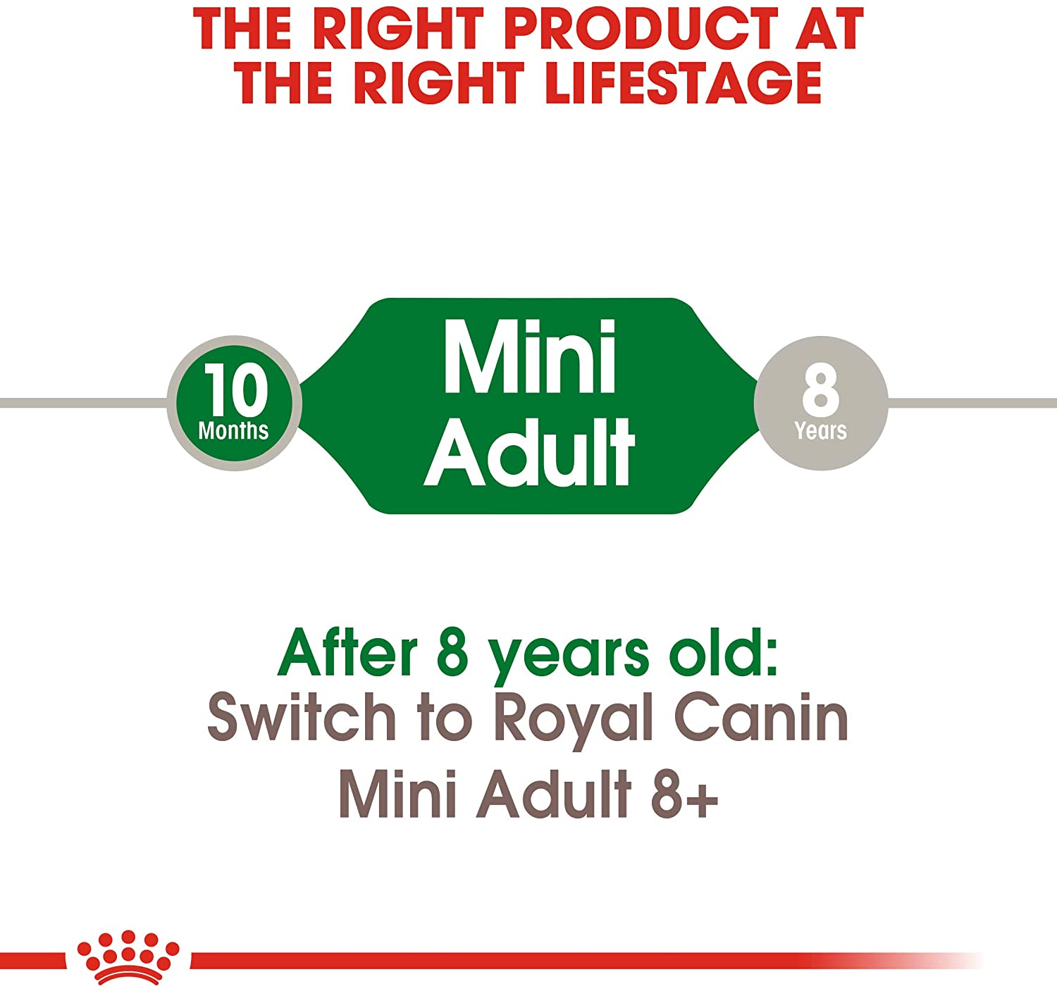 Royal Canin Mini Adult 800g  Crocchette per Cani