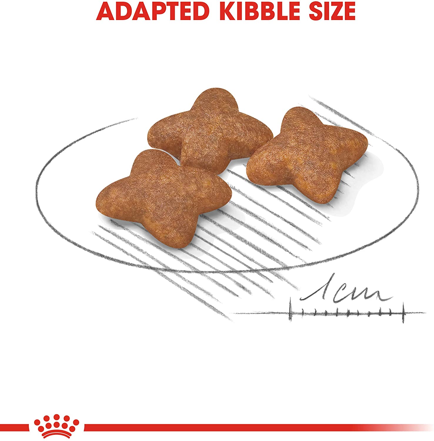 Royal Canin Mini Adult 800g  Crocchette per Cani