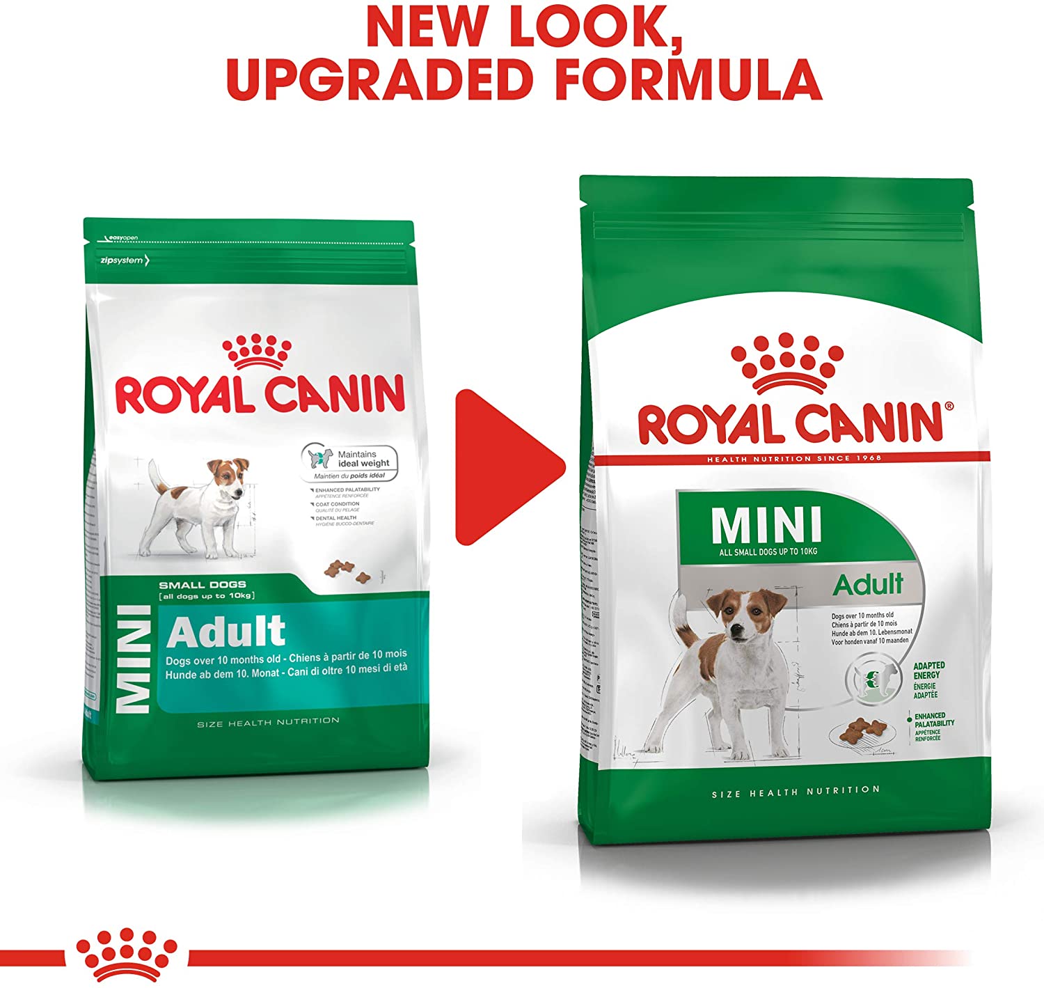 Royal Canin Mini Adult 800g  Crocchette per Cani