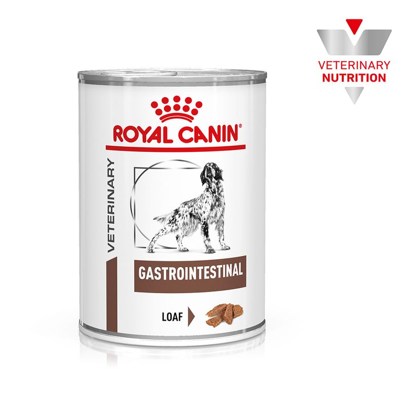 12x400g Royal Canin Gastrointestinal Patè 400g - Cibo Umido per Cani
