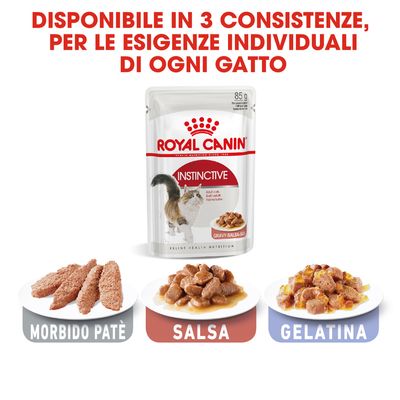 96x85g Royal Canin Instinctive in Salsa - Cibo Umido per Gatti