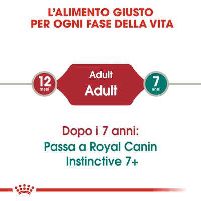 96x85g Royal Canin Instinctive in Salsa - Cibo Umido per Gatti