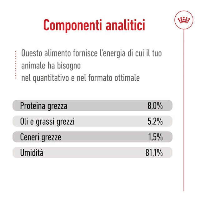 12x85g Royal Canin X-Small Adult Bocconcini in Salsa – Cane Adulto