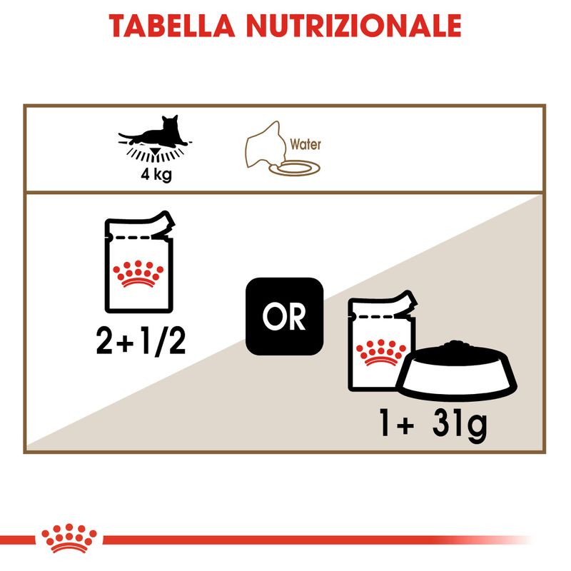 12x85g Royal Canin Ageing 12+ in Salsa - Umido per Gatti