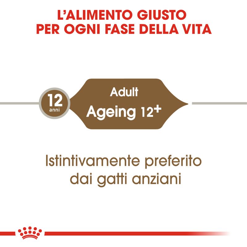 12x85g Royal Canin Ageing 12+ in Salsa - Umido per Gatti