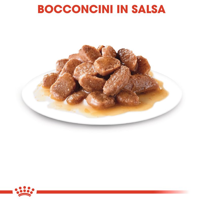 12x85g Royal Canin Ageing 12+ in Salsa - Umido per Gatti