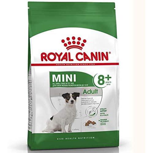 Royal Canin Mini Adult8+ 800g - Crocchette per Cani