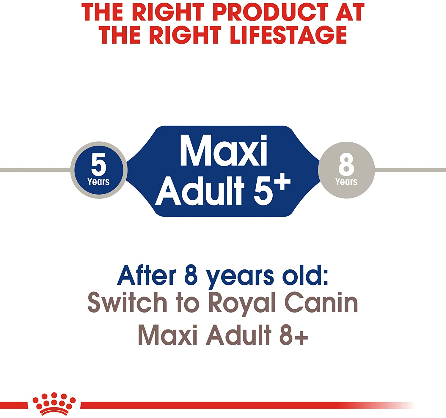 Royal Canin Maxi Mature 5+ 15kg - Crocchette per Cani