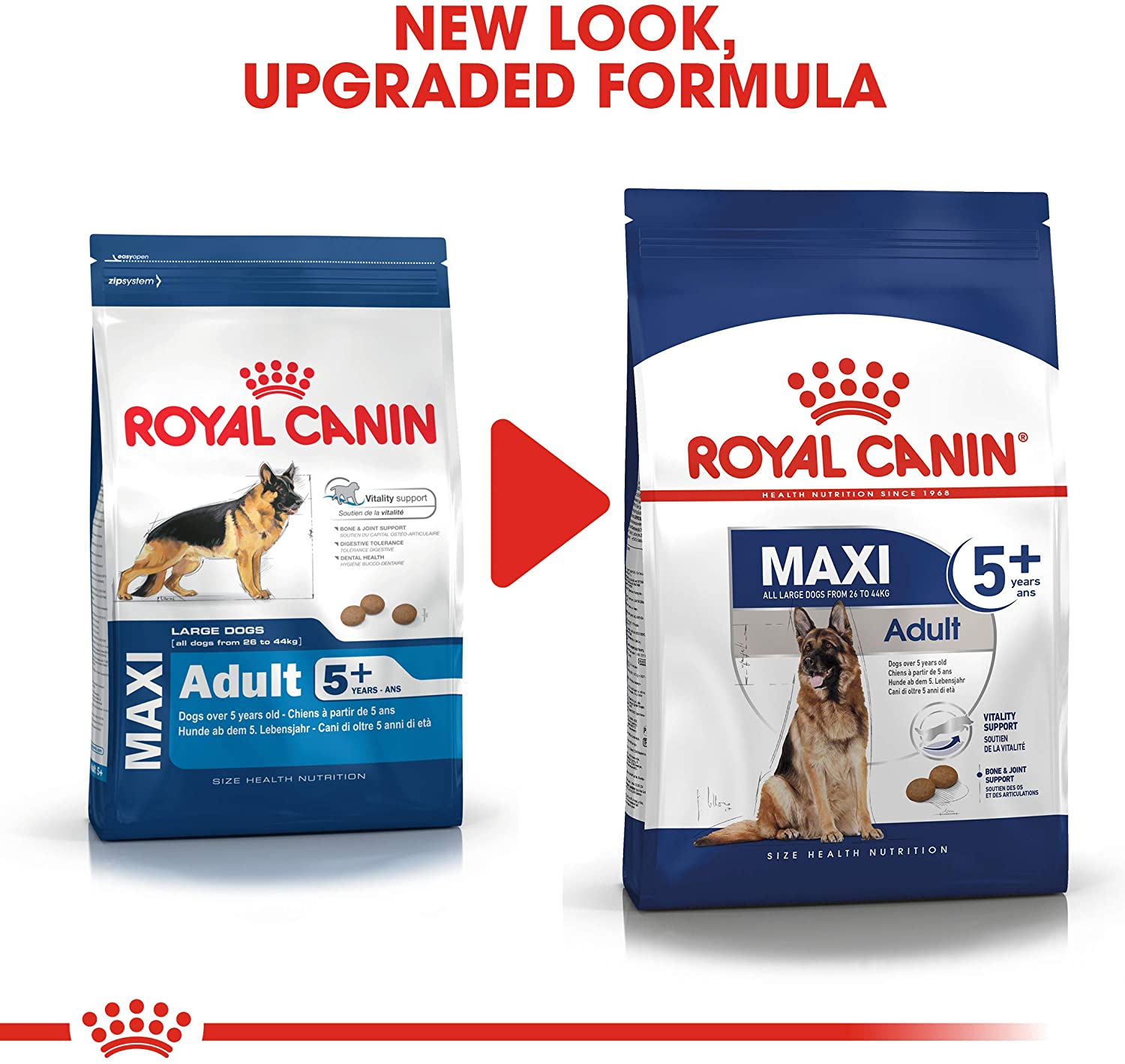 Royal Canin Maxi Mature 5+ 15kg - Crocchette per Cani