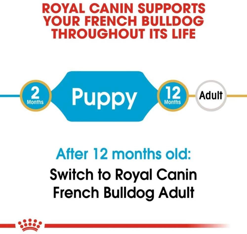 Royal Canin Puppy Bulldog Francese 3Kg Crocchette per Cane
