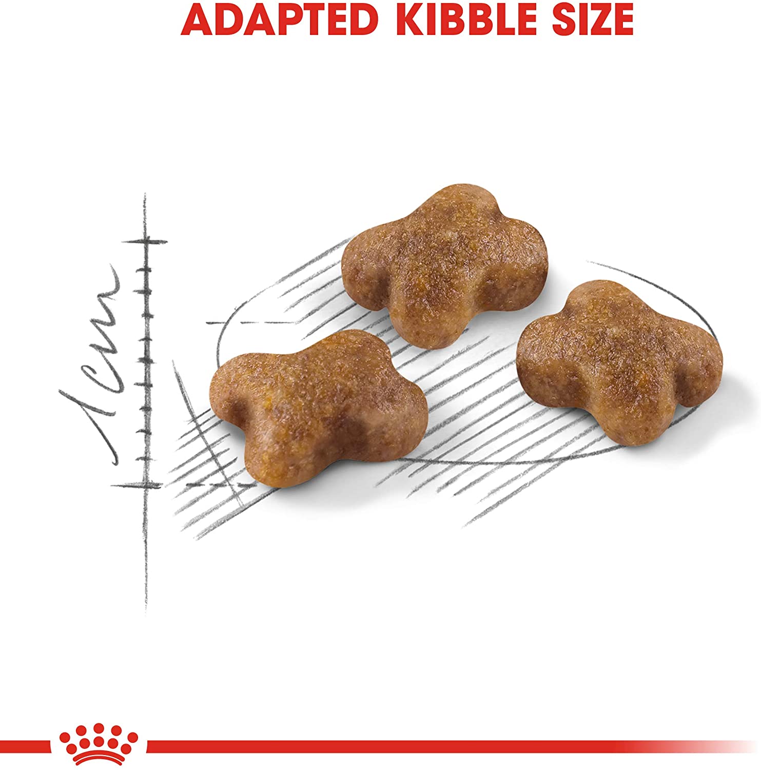 Royal Canin Kitten 400g - Crocchette per Gatti
