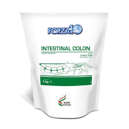 Forza10 - Active Intestinal Colon 2 Kg