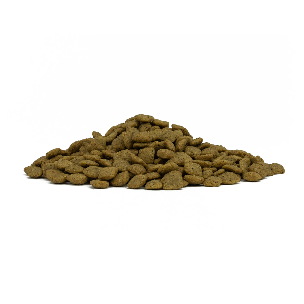 Forza10 Intestinal Colon Fase 2 2x10kg cane adulto, alimento dietetico completo con pesce e alghe brune per equilibrio intestinale