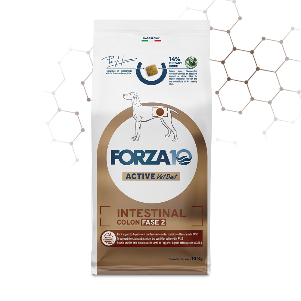 Forza10 Intestinal Colon Fase 2 2x10kg cane adulto, alimento dietetico completo con pesce e alghe brune per equilibrio intestinale