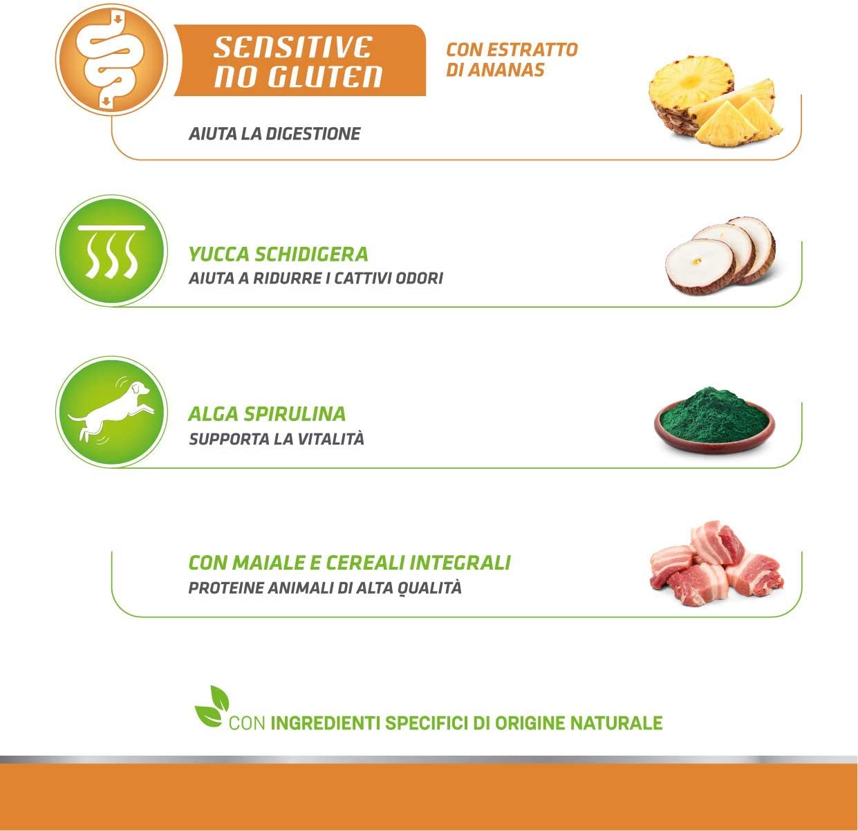 Natural Trainer Adult Small & Toy Adult Maiale 2kg - Cani Adulti