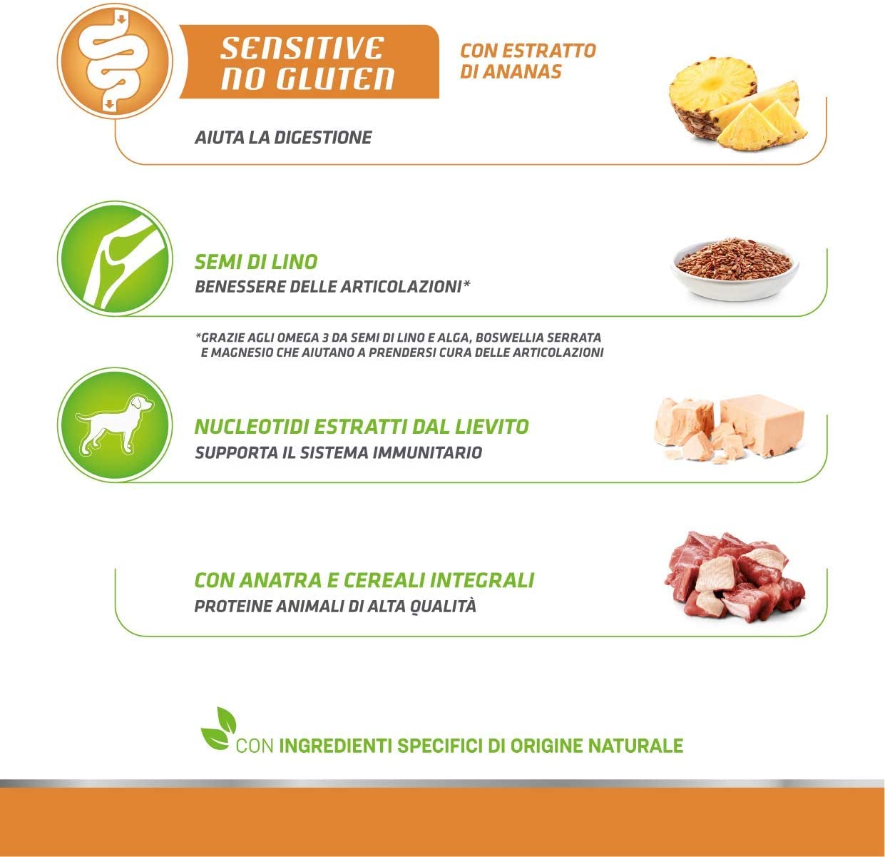 Natural Trainer Maturity Medium/Maxi Salmone 12kg No Gluten - Cane Adulto
