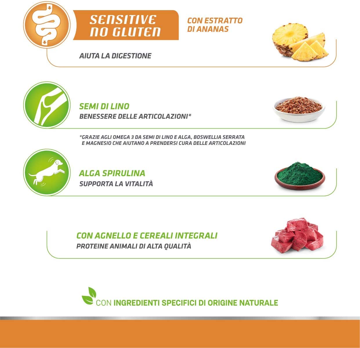 Natural Trainer Maturity Medium/Maxi Salmone 12kg No Gluten - Cane Adulto