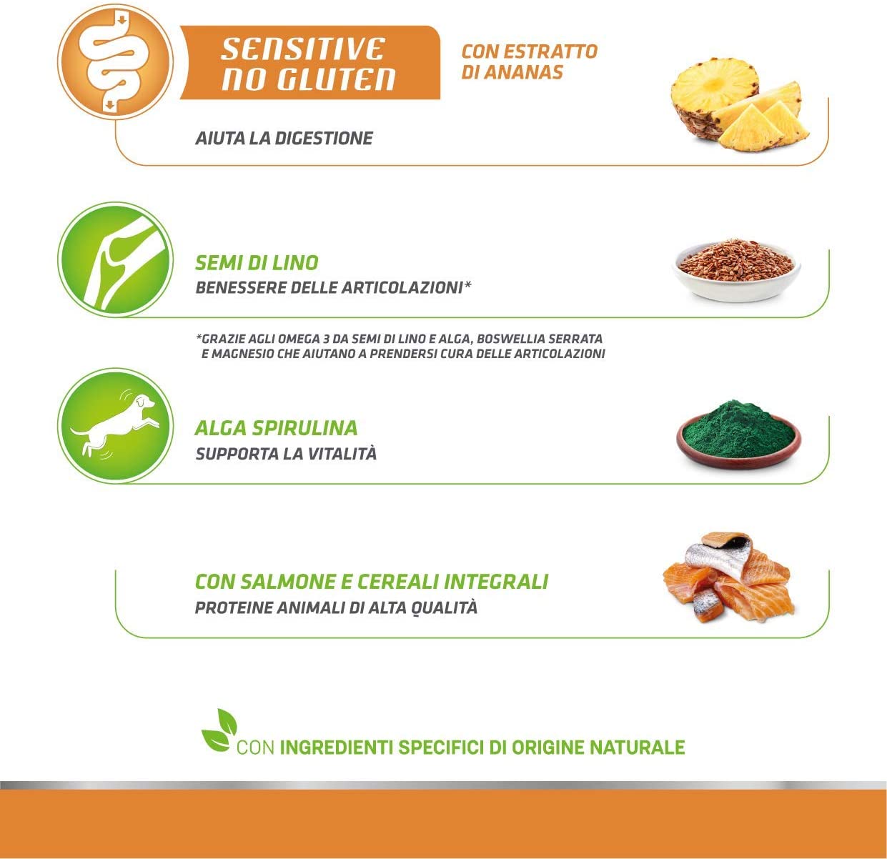 Natural Trainer Maturity Medium/Maxi Salmone 12kg No Gluten - Cane Adulto