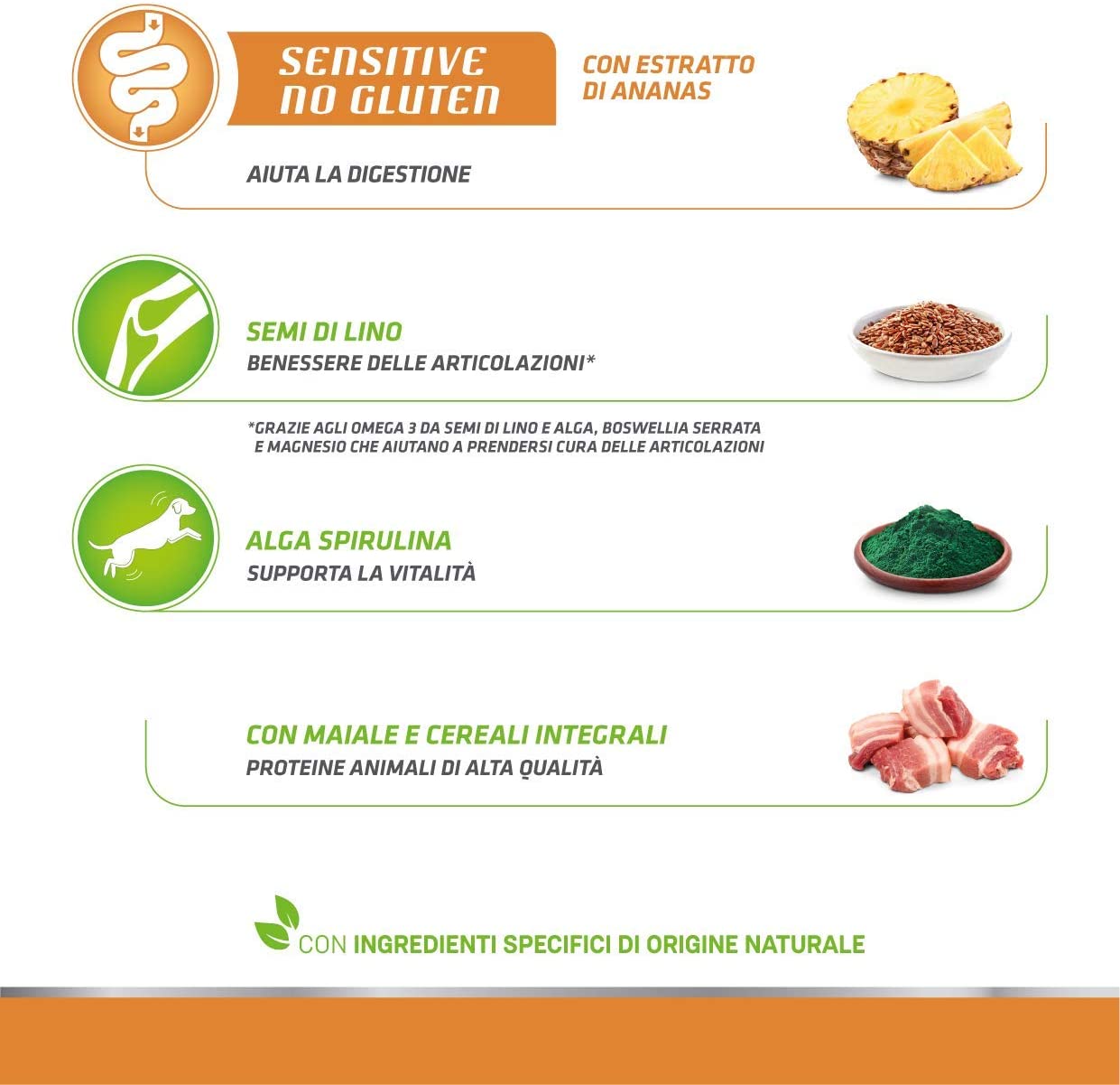 Natural Trainer Maturity Medium/Maxi Salmone 12kg No Gluten - Cane Adulto