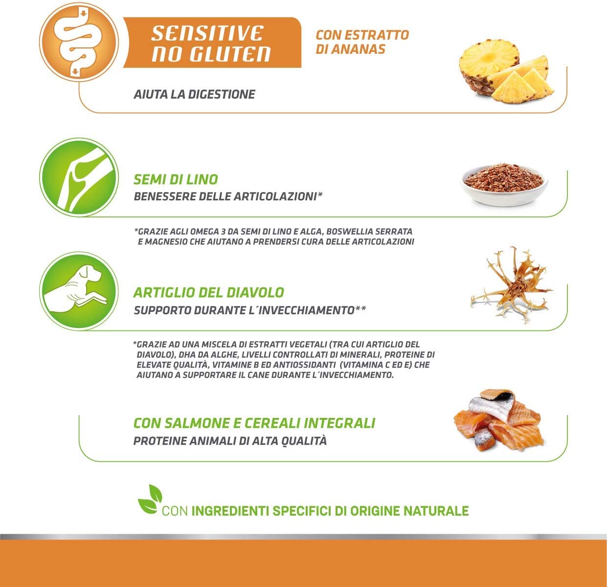 Natural Trainer Maturity Medium/Maxi Salmone 12kg No Gluten - Cane Adulto