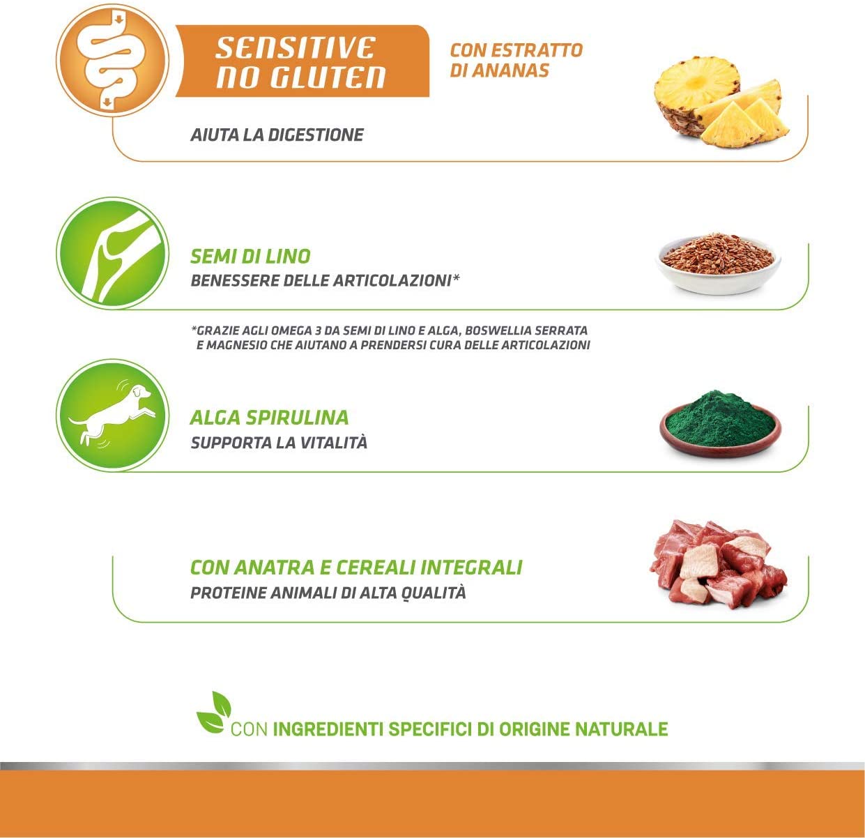 Natural Trainer Maturity Medium/Maxi Salmone 12kg No Gluten - Cane Adulto