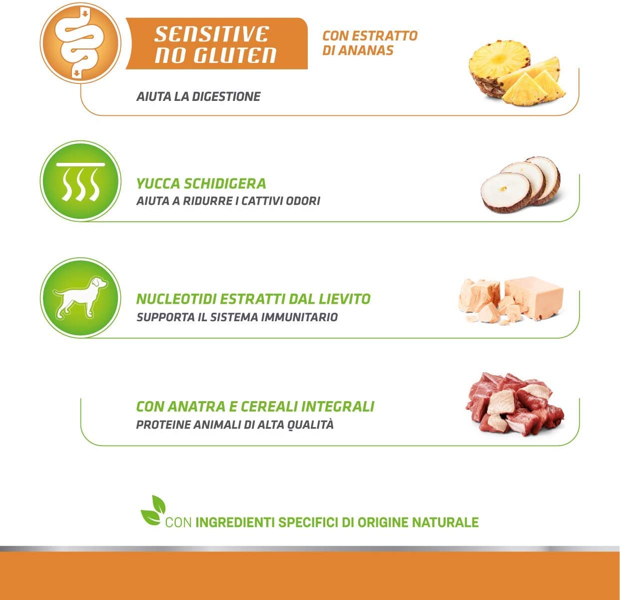 Natural Trainer Sensitive Adult Small & Toy con Agnello 2kg No Gluten - Cane Adulto