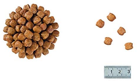 Royal Canin Early Renal Veterinary 400g - Crocchette per Gatti