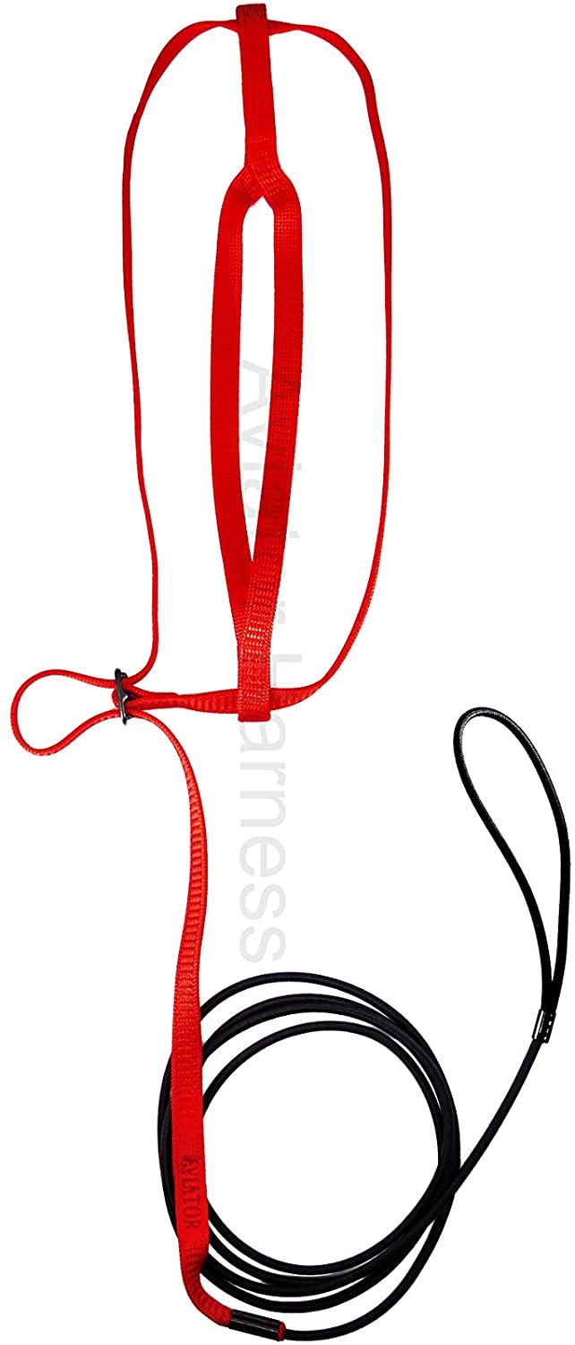Aviator - Pettorina per Pappagalli - S - Rosso