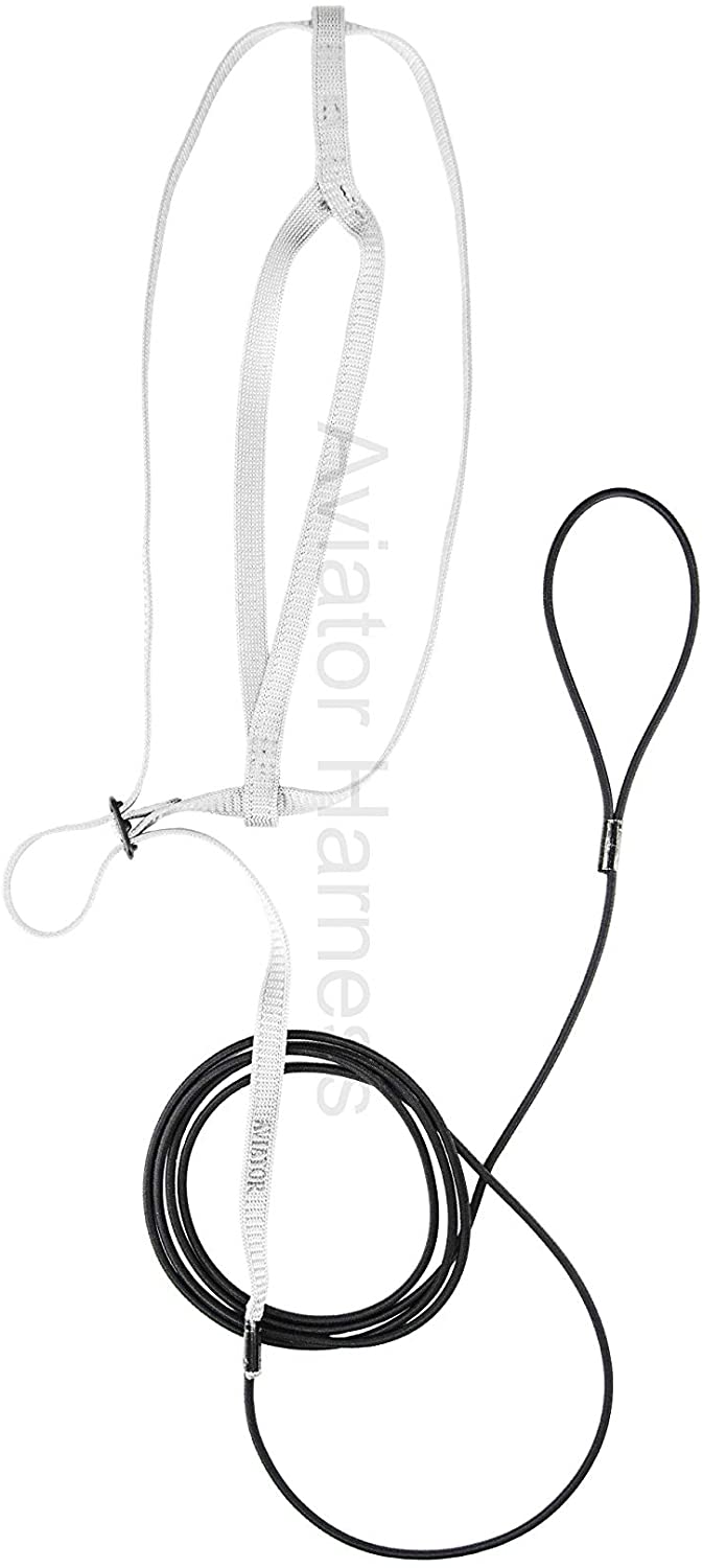 Aviator - Pettorina per Pappagalli - S - Rosso