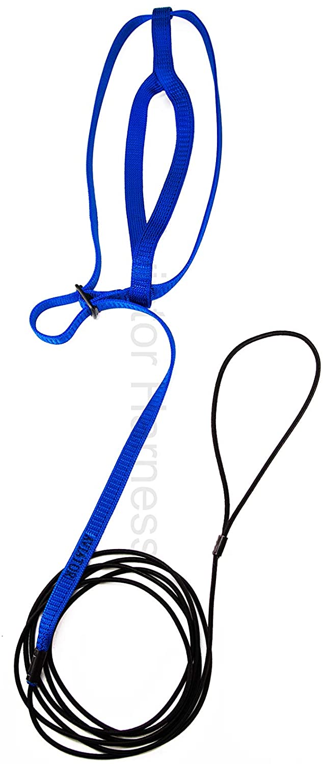 Aviator Bird Harness - Pettorina per Pappagalli - Taglia M - Colore Blu