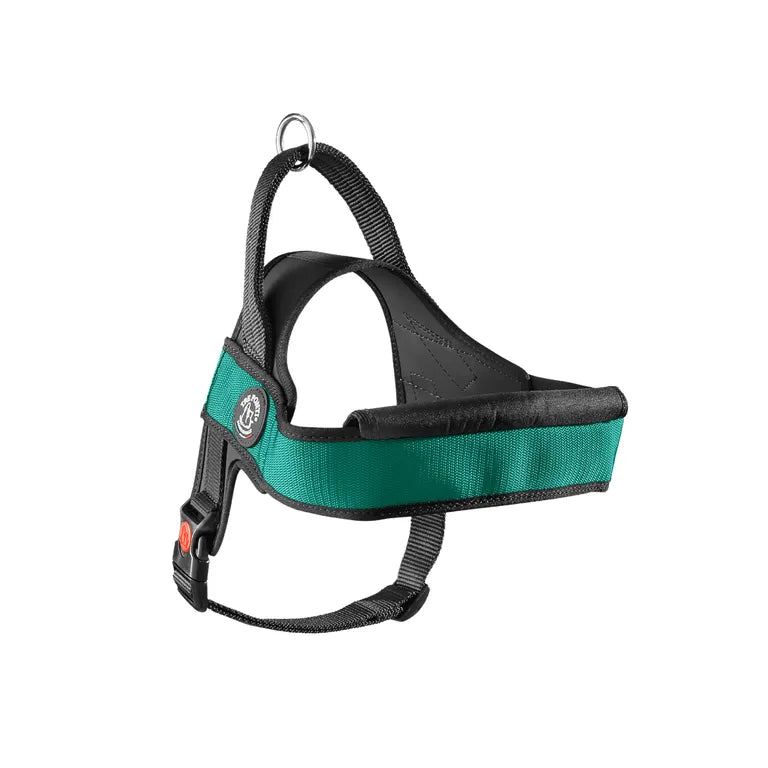 TRE PONTI Pettorina Primo Plus Onyx Smeraldo XL