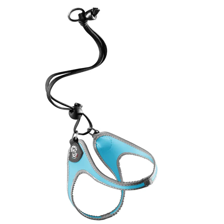 TRE PONTI Pettorina Easy Fit Onyx con Laccio Azzurro - mis 1