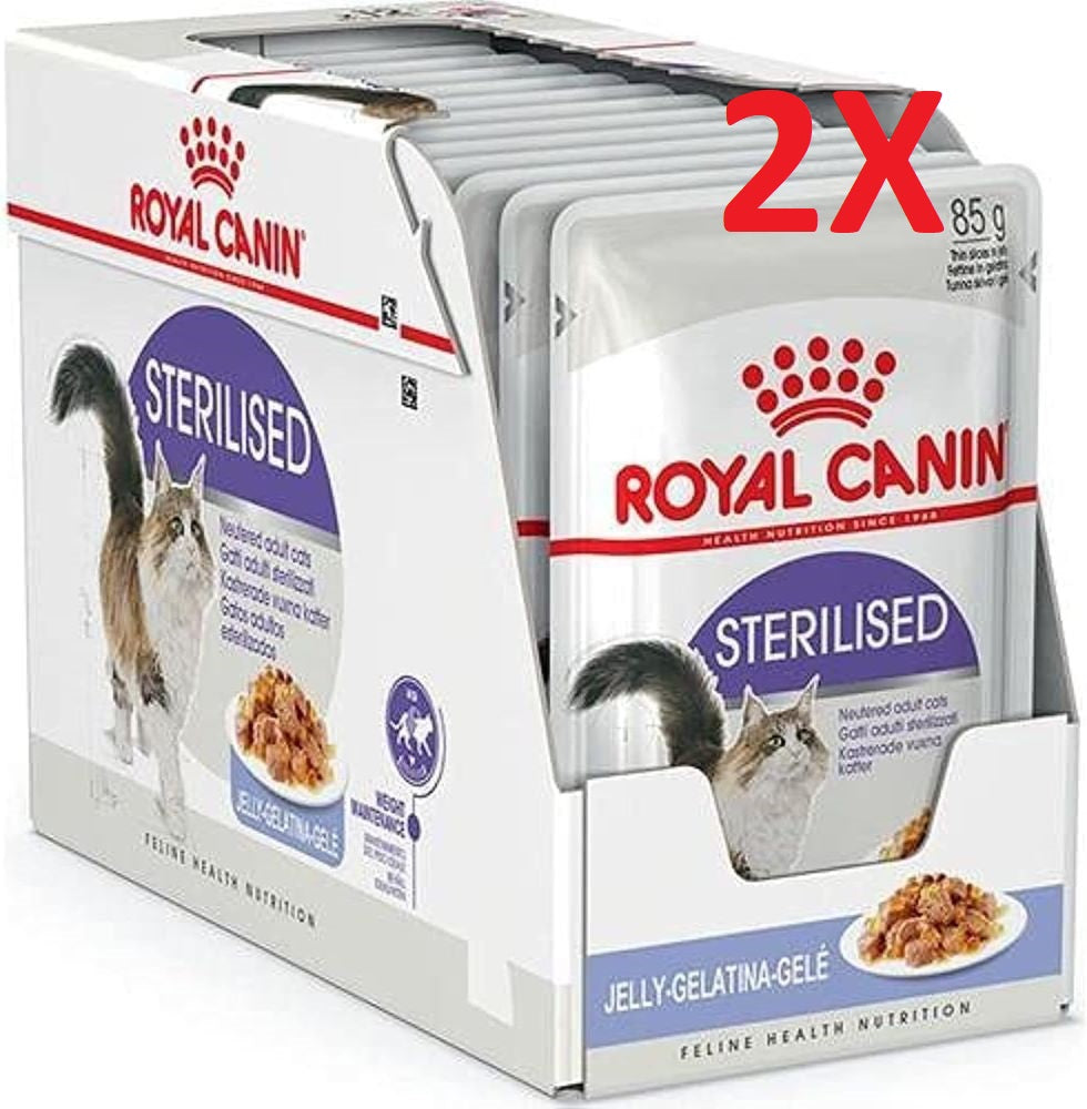 Royal Canin Sterilised37 in Gelatina 24x85gr