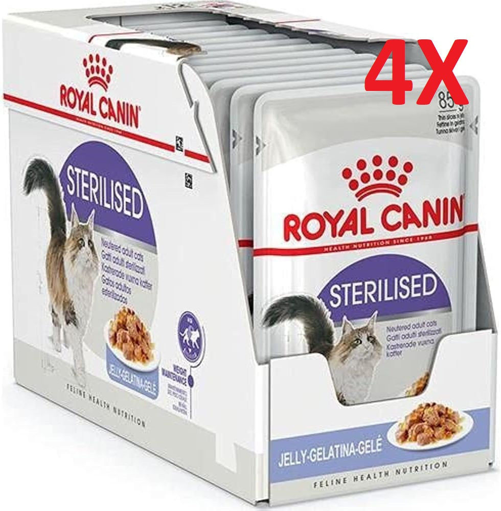 Royal Canin Sterilised37 in Gelatina 48x85gr