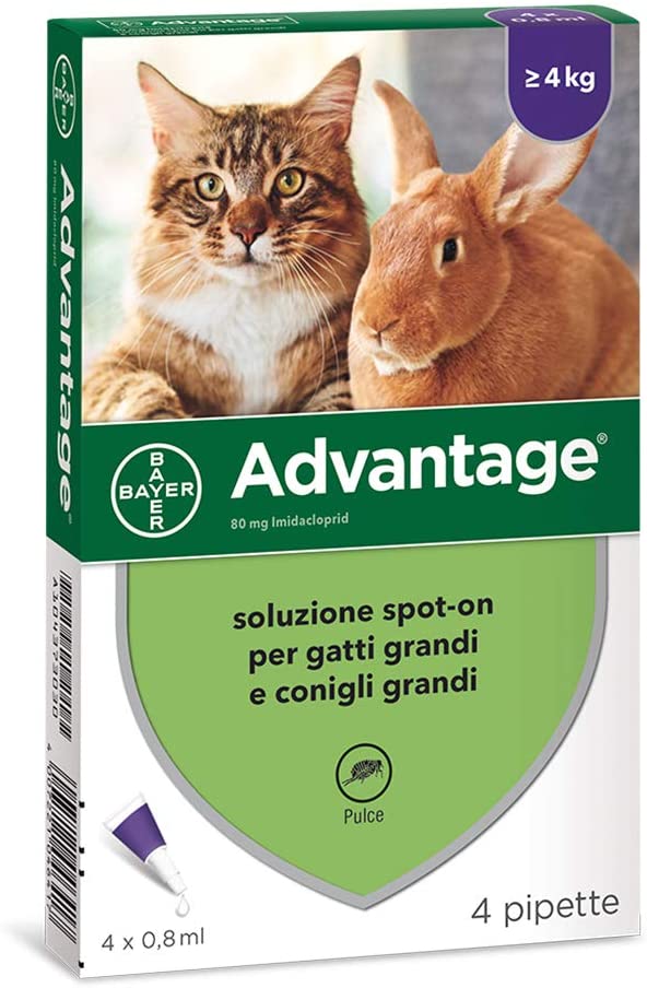 Advantage Soluzione Spot-On Gatti 4 Pipette