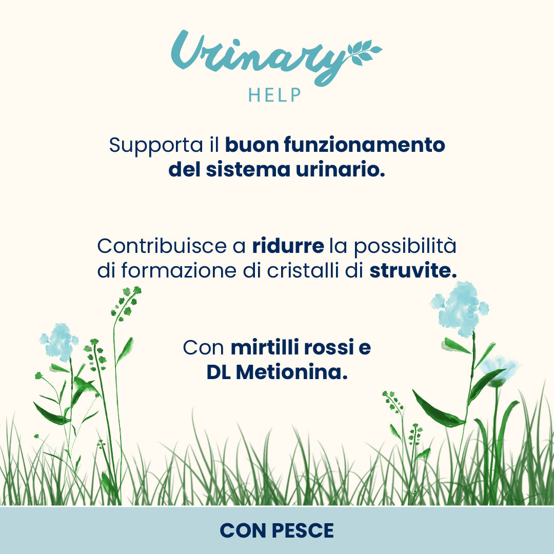 Almo Nature Functional - Urinary Help Cats con Pesce 70g