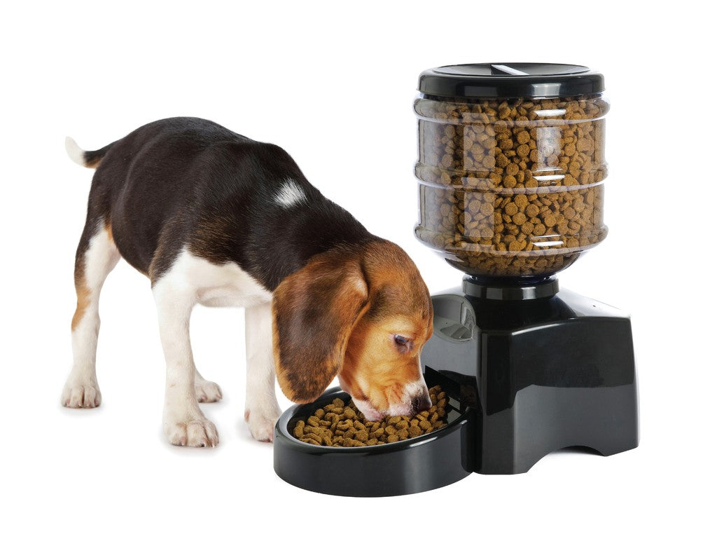 Camon Big Self Food - Distributore Automatico di Cibo per Cani e Gatti