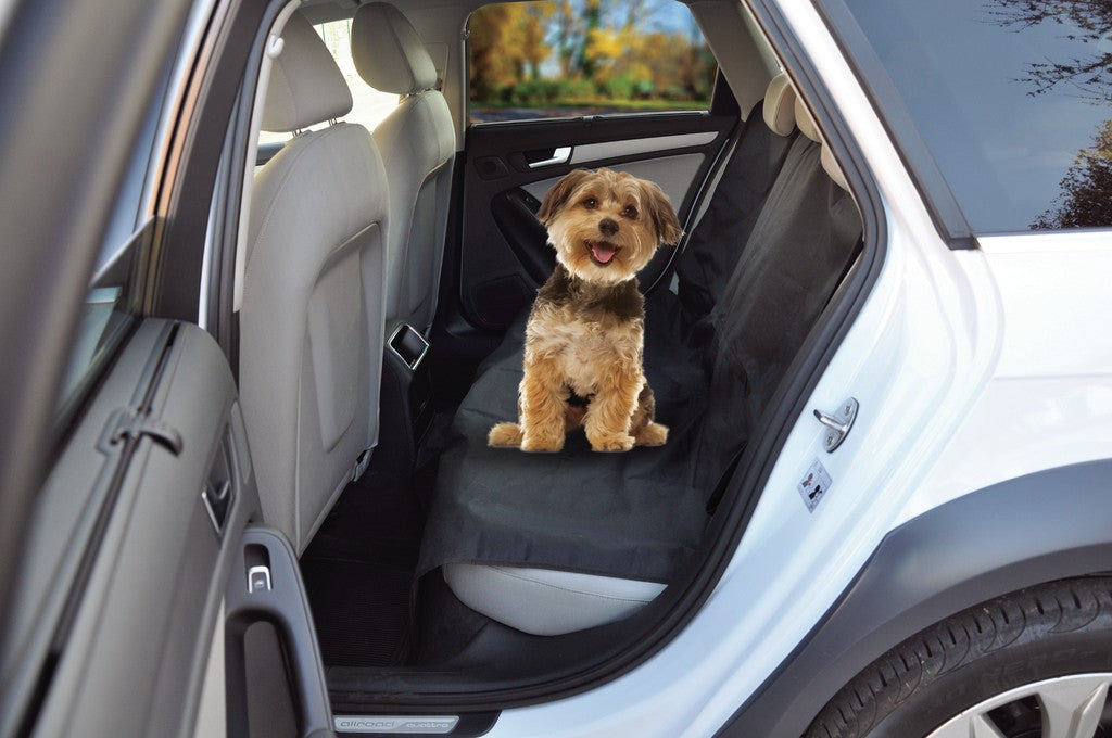 Cane seduto su coprisedile posteriore Camon Simply montato su auto