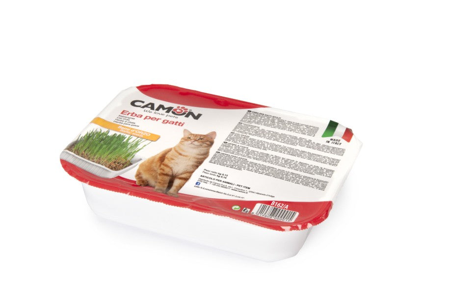 Confezione Camon erba per gatti con semi di orzo, vaschetta da 130g Made in Italy