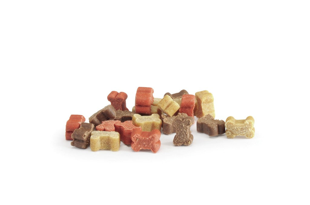Camon Mini Snacks Mix Pollo e Manzo Snack per Cani