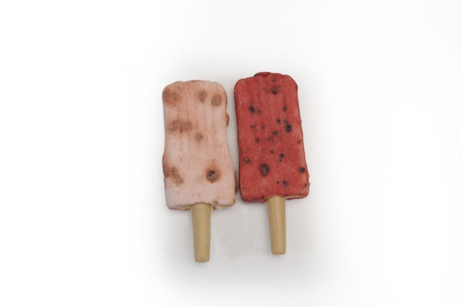 Camon Popsicles Pollo Fragola Mirtillo Snack per Cani Monoproteico