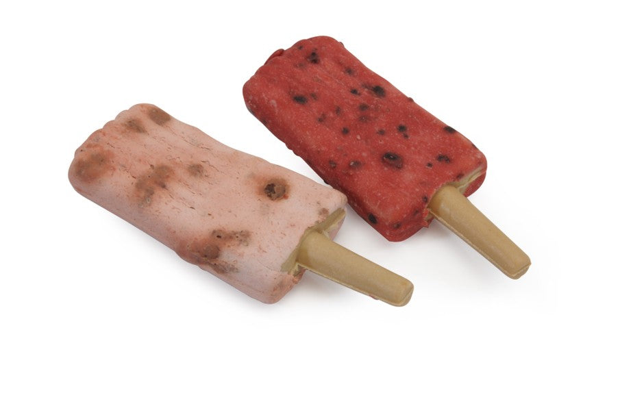 Camon Popsicles Pollo Fragola Mirtillo Snack per Cani Monoproteico